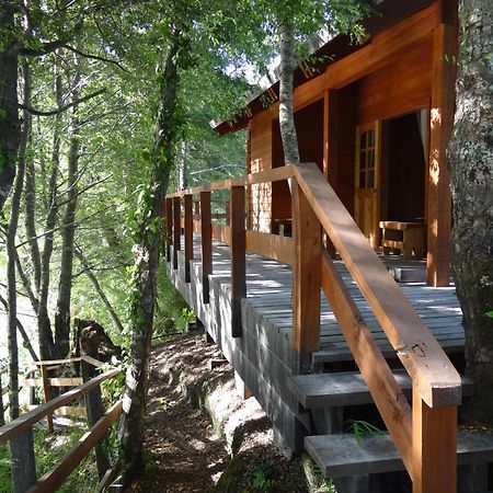 Patagonia Mawida Villa Neltume Eksteriør billede