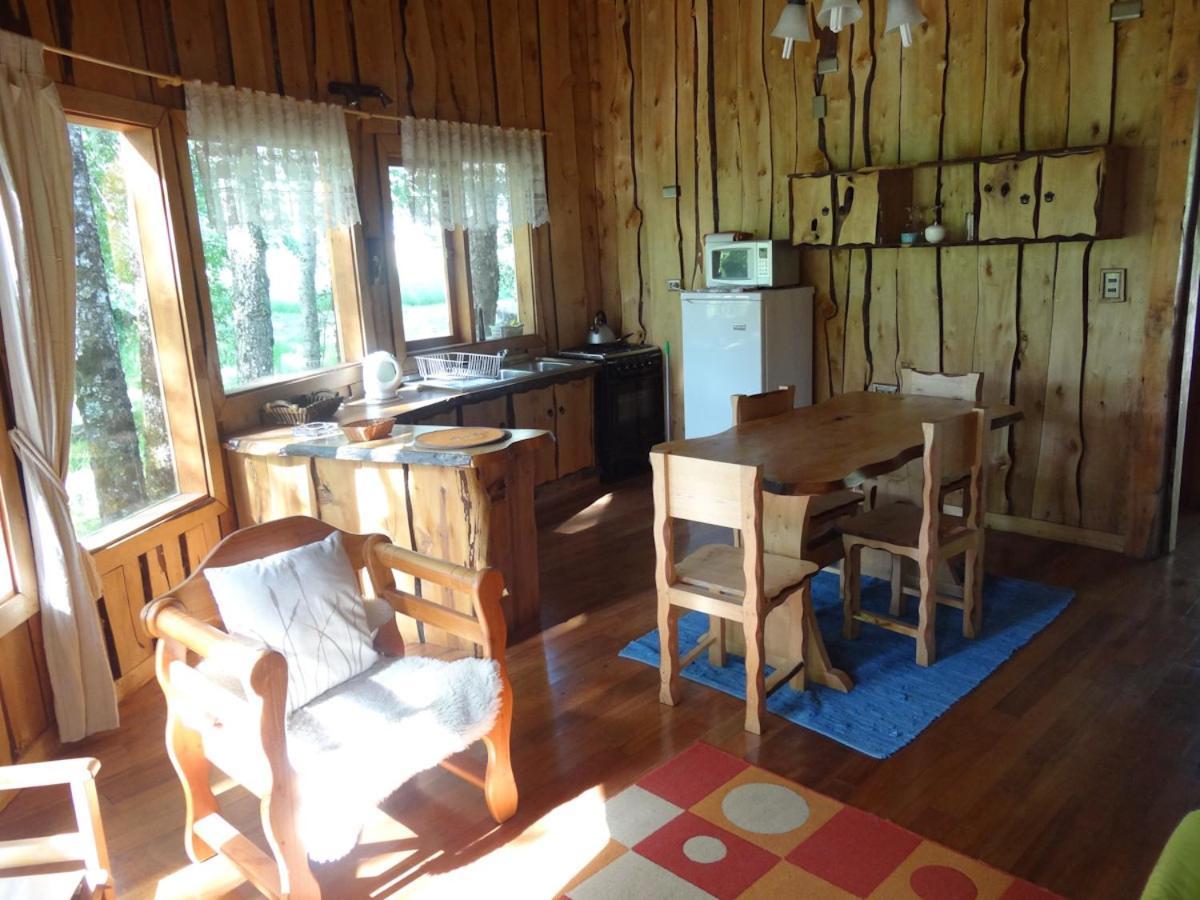 Patagonia Mawida Villa Neltume Eksteriør billede