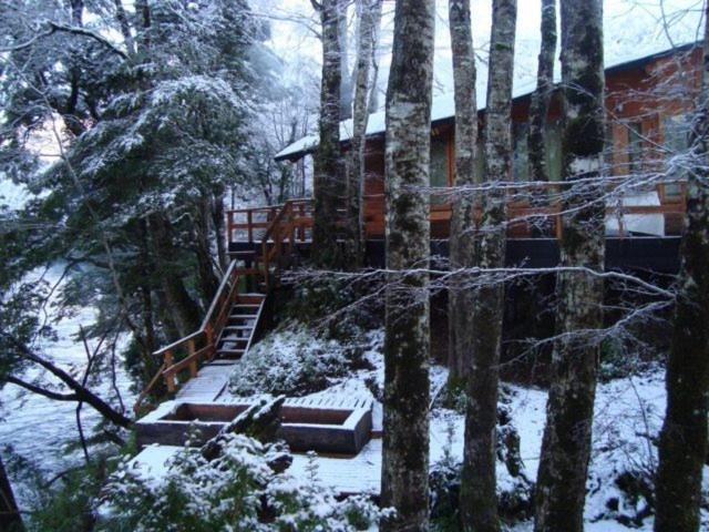 Patagonia Mawida Villa Neltume Eksteriør billede