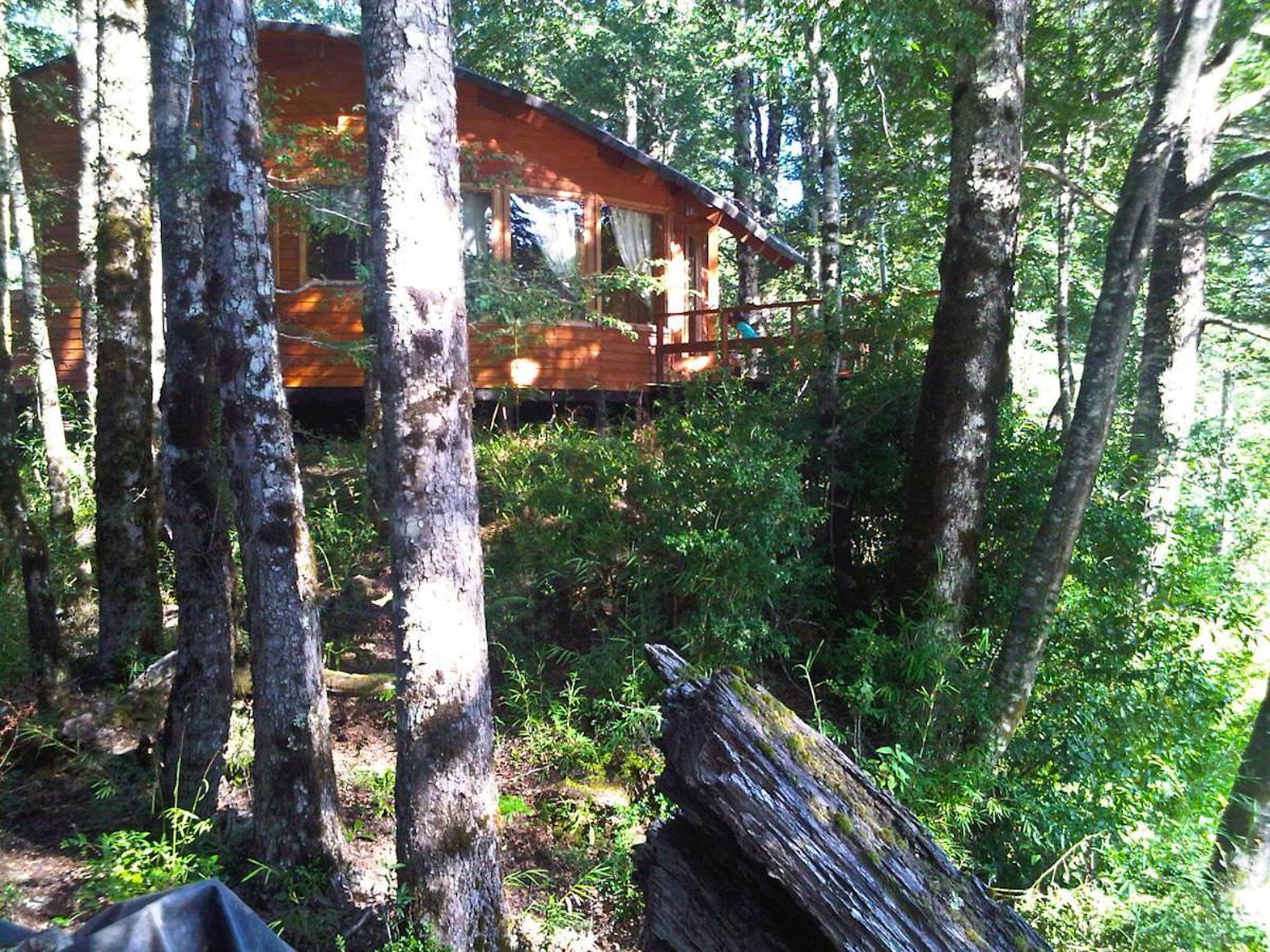 Patagonia Mawida Villa Neltume Eksteriør billede